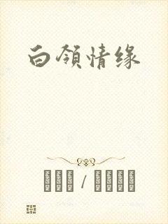 白领情缘