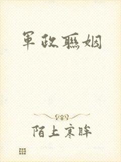 军政联姻封面