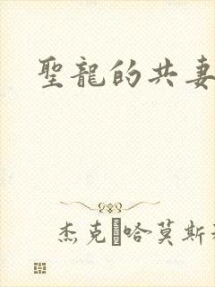 圣龙的共妻封面