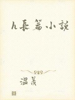 h长篇小说封面