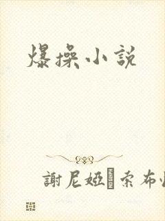 爆操小说