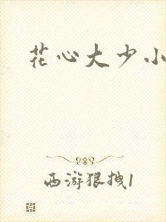 花心大少小说