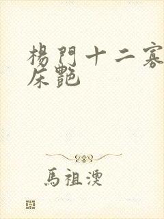 杨门十二寡妇肉床艳