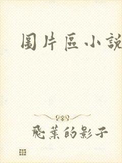 图片区小说区