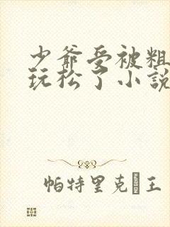 少爷受被粗汉H玩松了小说