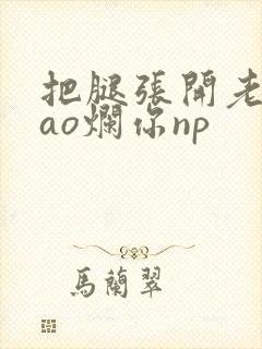 把腿张开老子cao烂你np