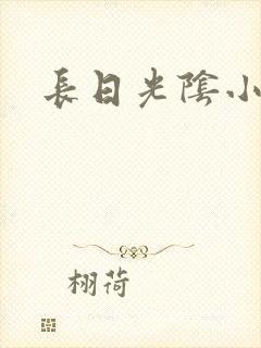 长日光阴小说
