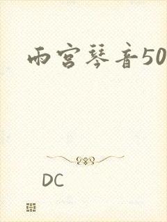 雨宫琴音500