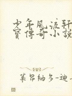 少年风流轩辕大宝传奇小说