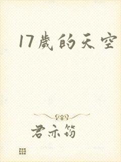 17岁的天空