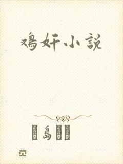 鸡奸小说