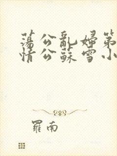 荡公乱妇第1章情公苏雪小说