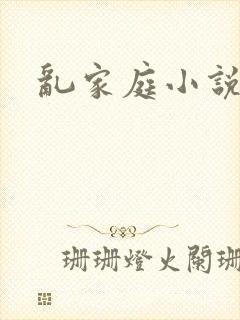 乱家庭小说