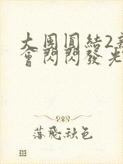 大团圆结2亲情会闪闪发光亲情会2