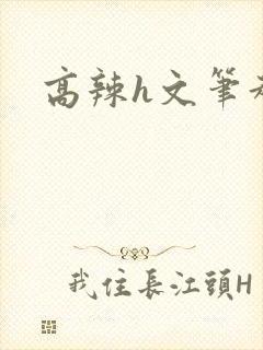 高辣h文笔趣阁