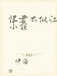 恨君不似江楼月小说