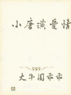 小唐璜爱情历史封面