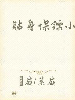 贴身保镖小说封面