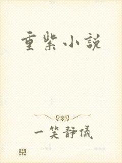 重紫小说