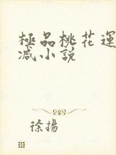 极品桃花运未删减小说