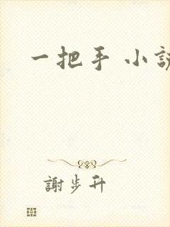 一把手 小说