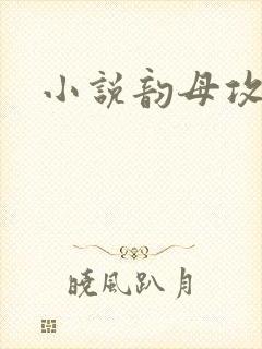 小说韵母攻略
