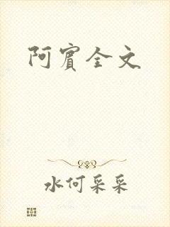 阿宾全文