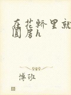 在花轿里就开始圆房h封面