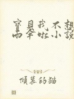 宝贝我不想带小雨伞啦小说