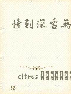 情到深处无怨尤封面