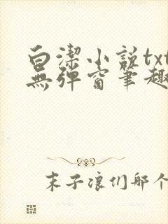 白洁小说txt无弹窗笔趣阁