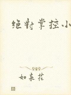 绝对掌控小说