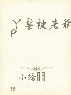 丫鬟被老爷玩NP封面