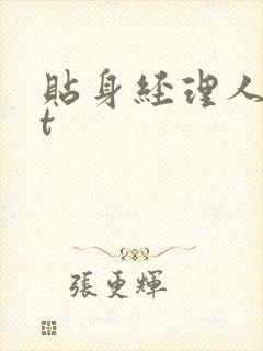 贴身经理人txt