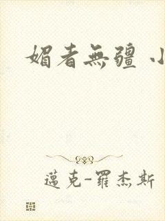 媚者无疆 小说
