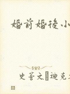 婚前婚后小说封面