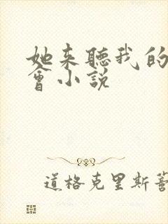 她来听我的演唱会小说