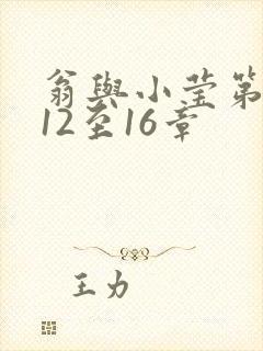 翁与小莹第十部12至16章