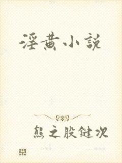 淫黄小说