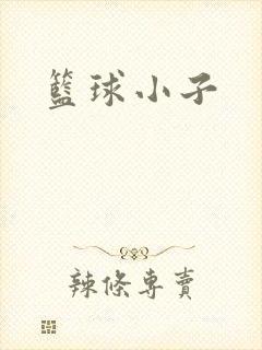 篮球小子