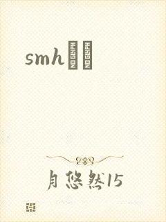 smhС˵封面