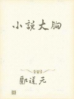 小说大胸封面