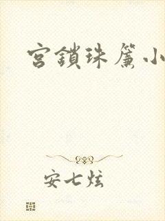 宫锁珠帘小说