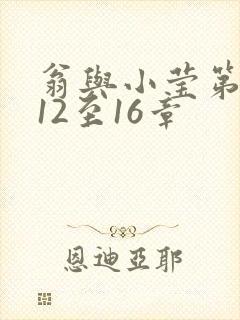 翁与小莹第十部12至16章