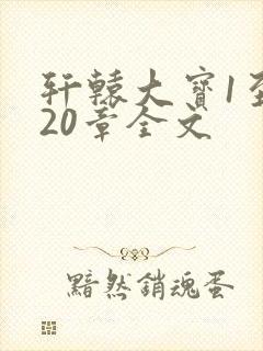 轩辕大宝1至720章全文