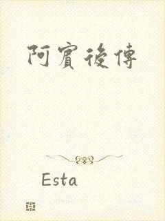 阿宾后传