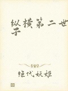 纵横第二世界宽子