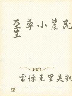 至尊小农民王木生
