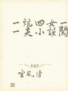 一炕四女一共侍一夫小说阅读