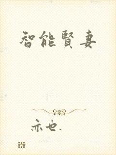智能贤妻